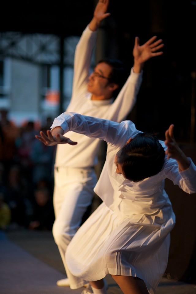DSC_6993 DSC_6993